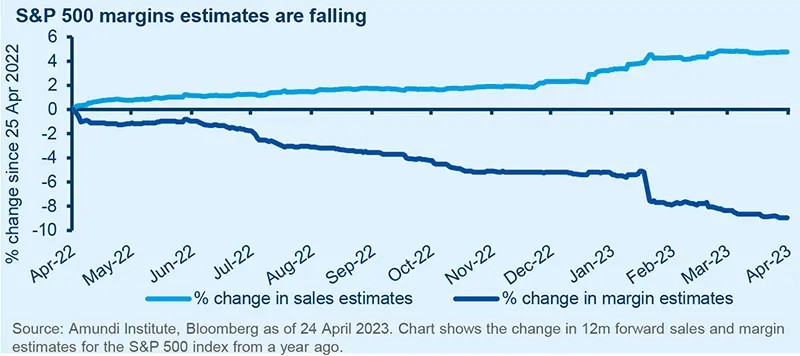 S&amp;P 500 margins estimates are falling