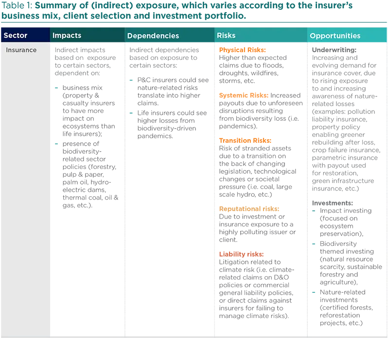 Summary of (indirect) exposure, which varies according to the insurer&#039;s business mix, client selection and investment portfolio