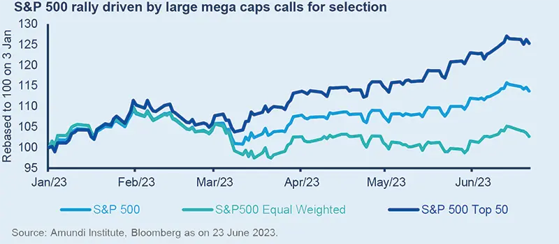 S&amp;P 500 rally driven by large mega caps calls for selection