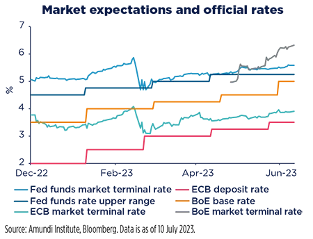 Market expectations and official rates