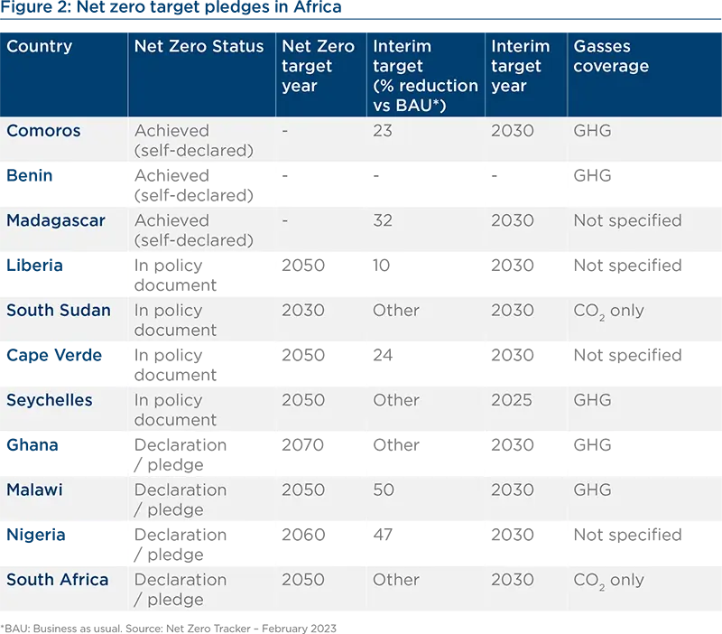 Net Zero target pledges in Africa