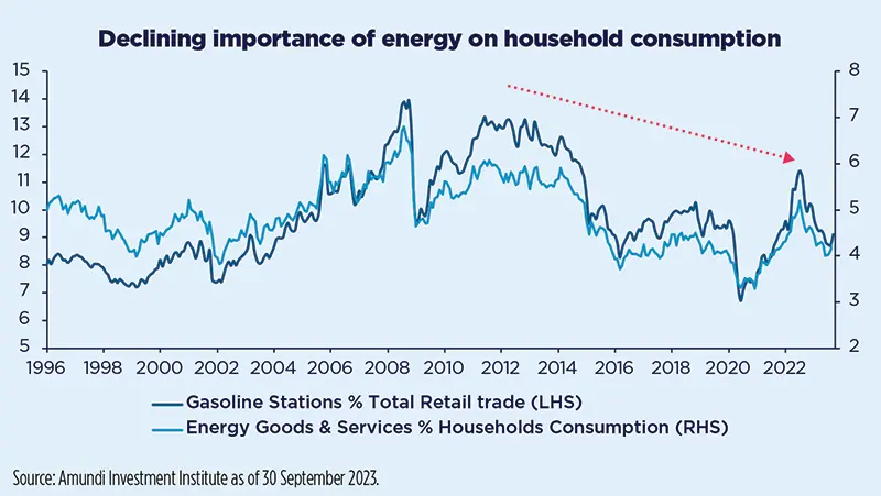 Declining importance of energy on household consumption