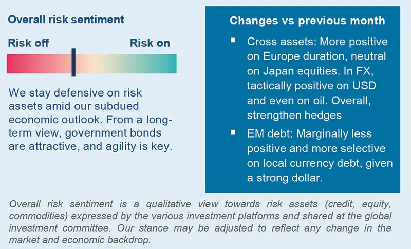 Overall risk sentiment