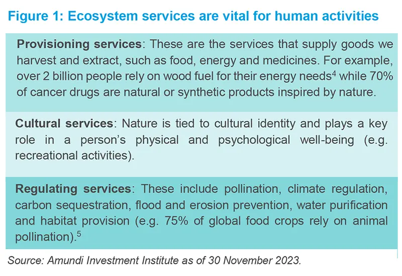 Ecosystem services are vital for human activities