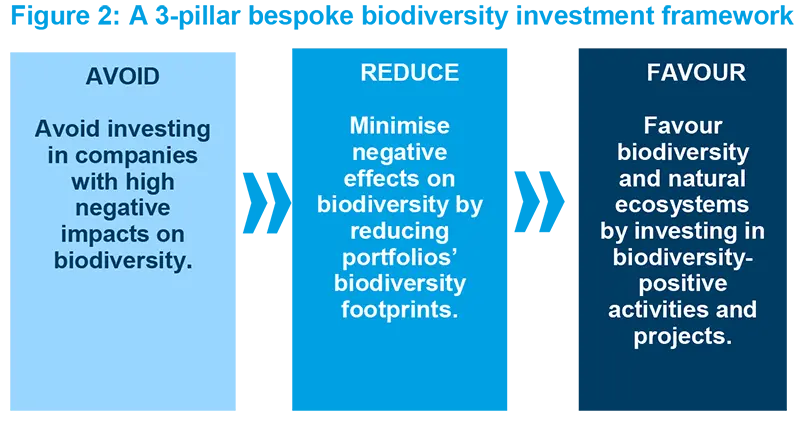 A 3-pillar bespoke biodiversity investment framework