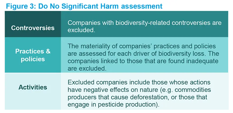 Do No Significant Harm assessment