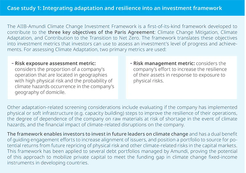 Case study 1: Integrating adaptation and resilience into an investment framework