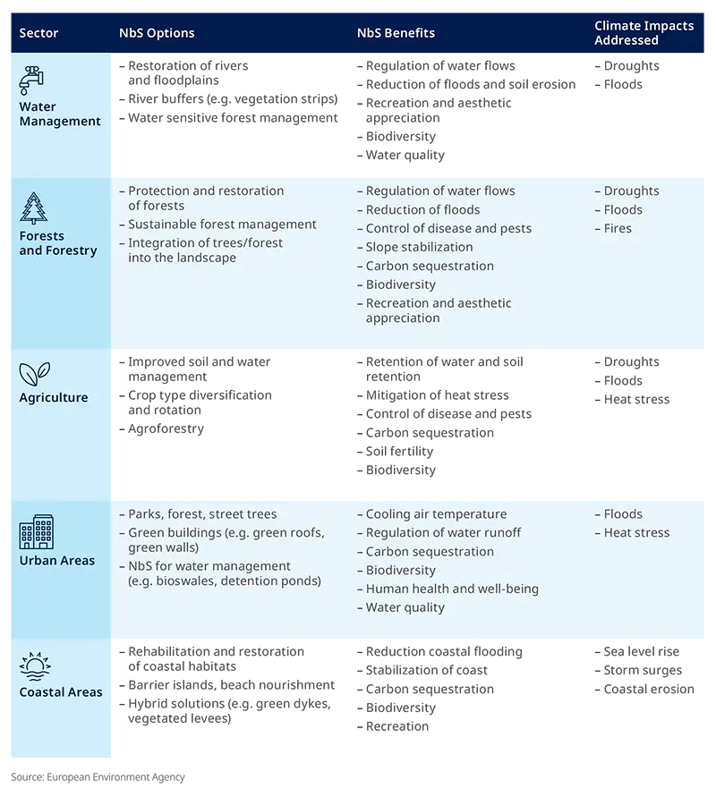 Table 3: The European Environment Agency’s Nature-based Solutions