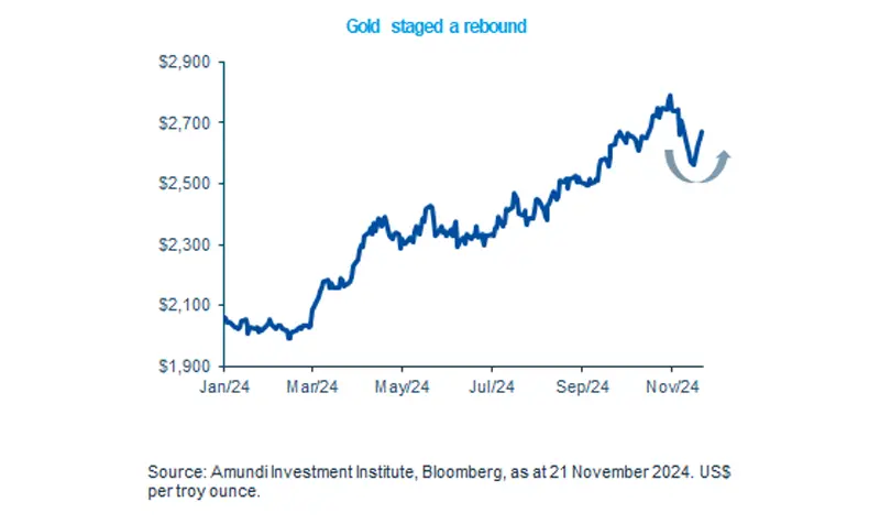 Gold staged a rebound