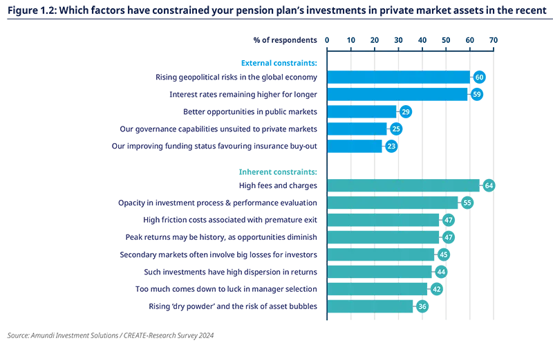 Which factors have constrained your pension plan’s investments in private market assets in the recent