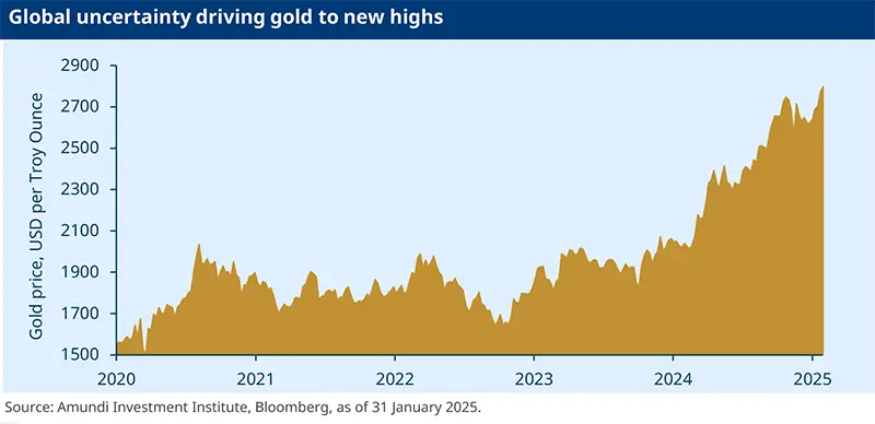 Global Investment Views - February 2025: Global uncertainty driving gold to new highs