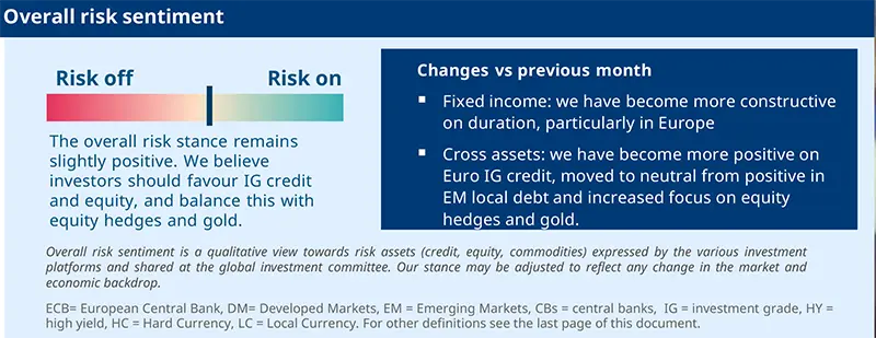 Global Investment Views - February 2025: Overall risk sentiment