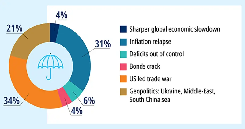 What is the biggest risk for investors in 2025?