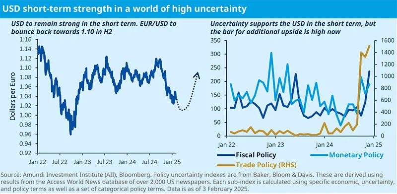 USD short-term strength in a world of high uncertainty