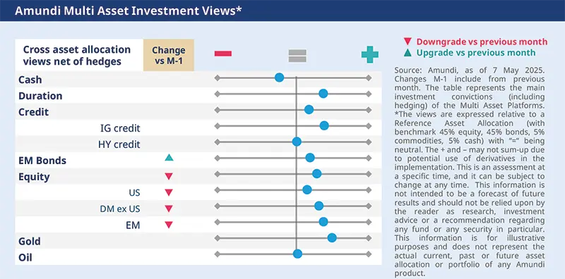 Amundi Multi Asset Investment Views*