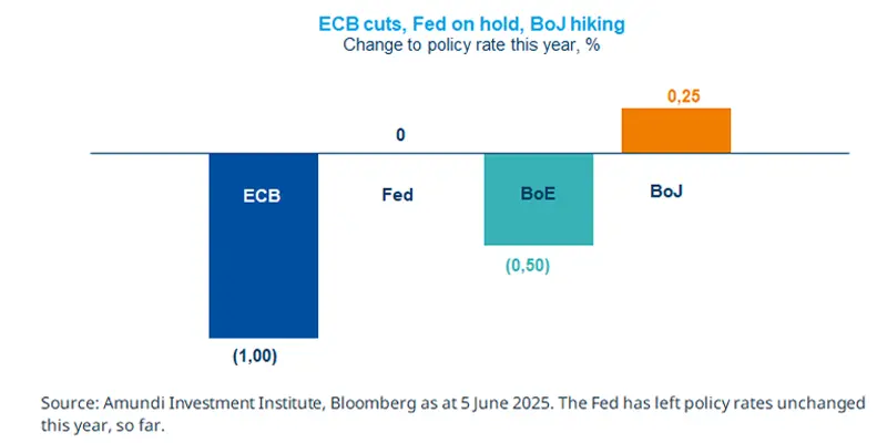 ECB cuts, Fed on hold, BoJ hiking 