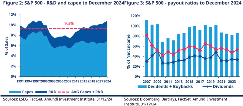Figure 2: S&P 500 - R&D and capex to December 2024Figure 3: S&P 500 - payout ratios to December 2024