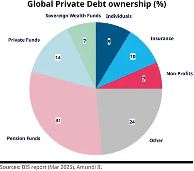 Global Private Debt ownership (%)