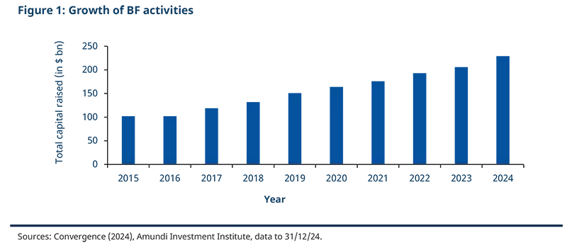 Growth of BF activities Sources: Convergence (2024), Amundi Investment Institute, data to 31/12/24. Blue-toned stacked logo-style graphic showing a rising chevron pattern and dark blue text area, representing institutional finance branding and growth. Clean geometric shapes convey stability, trust, and upward momentum for asset management communications.