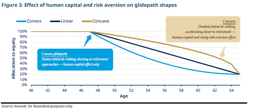 Line chart comparing three equity glidepaths from age 40 to 65: convex, linear and concave. All start near 100% equity around age 48 and decline toward 20% at retirement. Convex de-risks faster early, while concave stays higher longer before dropping more sharply.