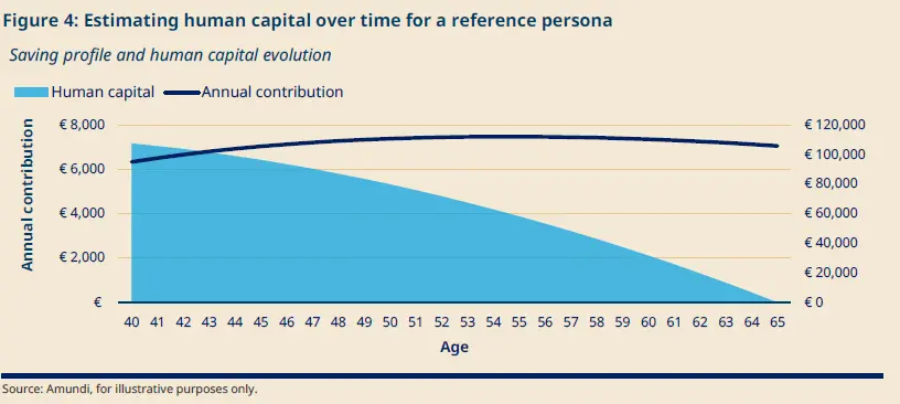 Area and line chart showing human capital and annual contribution for a reference person from age 40 to 65. Human capital declines steadily to zero at retirement, while annual contribution stays broadly stable, with a slight rise before easing at the end.