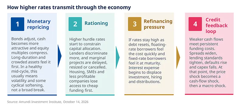 Four-step diagram showing how higher interest rates transmit through the economy: monetary repricing, rationing, refinancing pressure, and a credit feedback loop. Each coloured panel explains how bonds, lending standards, debt service, and cash flow are affected as rates stay high.