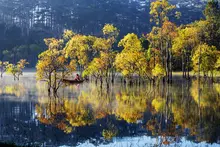 2026.01.08 - Invitation RI Views 2026